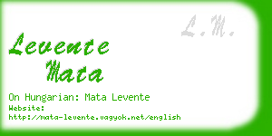 levente mata business card